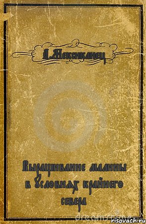 А.Мексиканец Выращивание малины в условиях крайнего севера, Комикс обложка книги