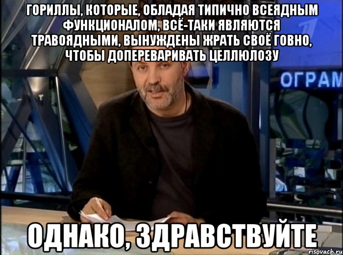 Гориллы, которые, обладая типично всеядным функционалом, всё-таки являются травоядными, вынуждены жрать своё говно, чтобы допереваривать целлюлозу однако, здравствуйте, Мем Однако Здравствуйте