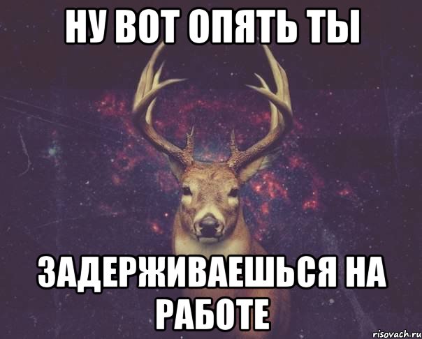 Задержишься. Опоздал на работу Мем. Ты опять задерживаешься на работе. Человек олень Мем. Задерживаюсь на работе Мем.