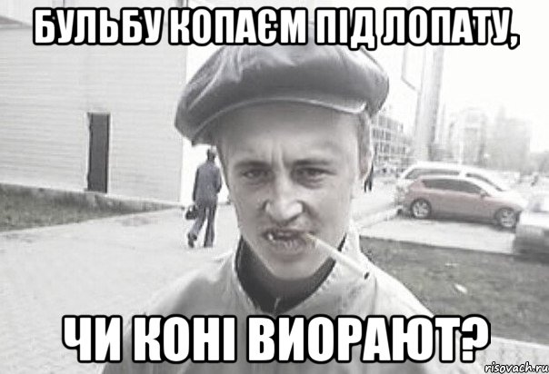 Бульбу копаєм під лопату, чи коні виорают?, Мем Пацанська философия