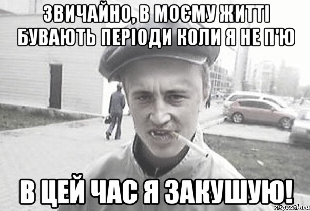 Звичайно, в моєму житті бувають періоди коли я не п'ю в цей час я закушую!, Мем Пацанська философия