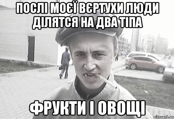 Послі моєї Вєртухи люди ділятся на два тіпа Фрукти і Овощі, Мем Пацанська философия