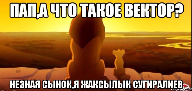 Пап,а что такое вектор? Незная сынок,я Жаксылык Сугиралиев, Мем  король лев