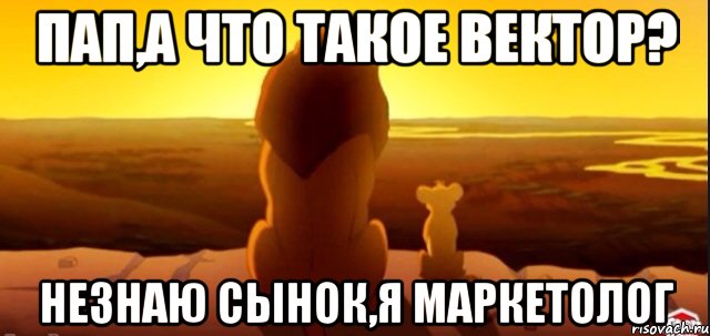 Пап,а что такое вектор? Незнаю сынок,я маркетолог, Мем  король лев