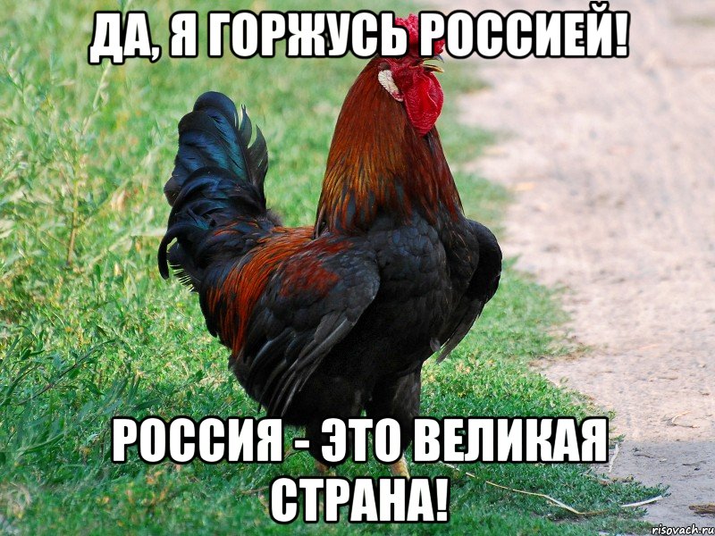 Да, я горжусь Россией! Россия - это великая страна!, Мем петух