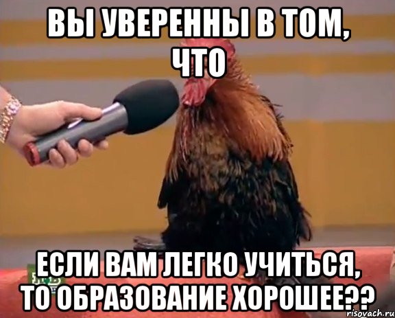 вы уверенны в том, что если вам легко учиться, то образование хорошее??, Мем петух