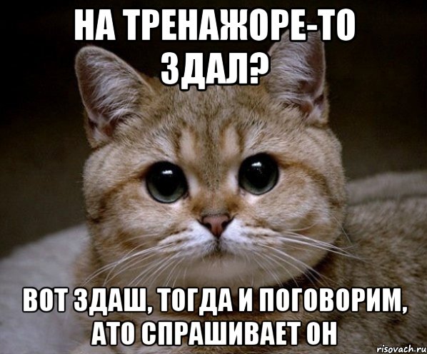 На тренажоре-то здал? Вот здаш, тогда и поговорим, ато спрашивает он, Мем Пидрила Ебаная