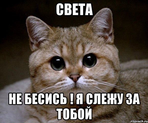 Света смешная