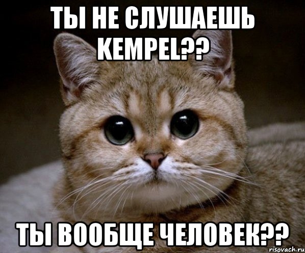 ты не слушаешь Kempel?? ты вообще человек??, Мем Пидрила Ебаная