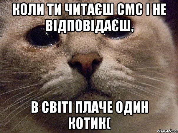 коли ти читаєш смс і не відповідаєш, в світі плаче один котик(, Мем   В мире грустит один котик