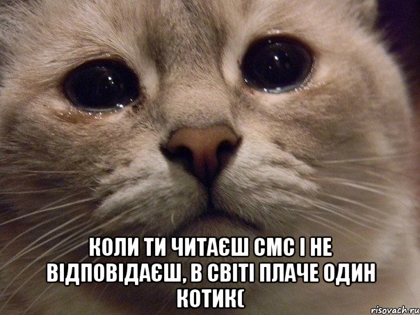  коли ти читаєш смс і не відповідаєш, в світі плаче один котик(, Мем   В мире грустит один котик