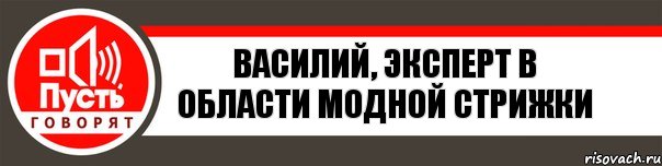 Василий, эксперт в области модной стрижки, Комикс   пусть говорят