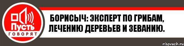 Борисыч: Эксперт по грибам, лечению деревьев и зеванию., Комикс   пусть говорят