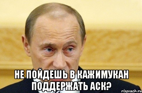  Не пойдешь в кажимукан поддержать аск?, Мем путин