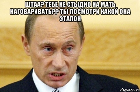 Штаа? Тебе не стыдно на мать наговаривать?? Ты посмотри какой она эталон , Мем путин