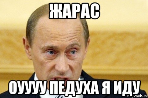 жарас оуууу педуха я иду, Мем путин