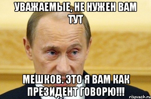 Уважаемые, не нужен вам тут Мешков. Это я вам как президент говорю!!!, Мем путин