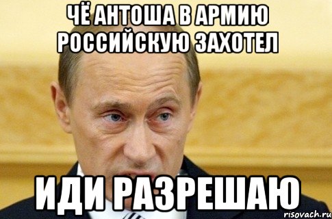 чё антоша в армию Российскую захотел иди разрешаю, Мем путин