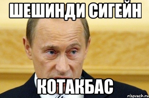 шешинди сигейн котакбас, Мем путин