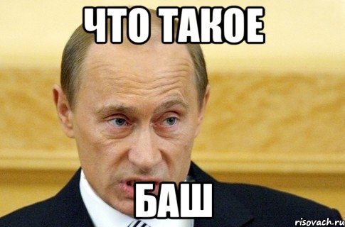 что такое баш, Мем путин