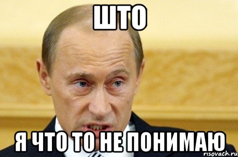 што я что то не понимаю, Мем путин