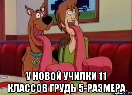  У новой училки 11 классов грудь 5-размера