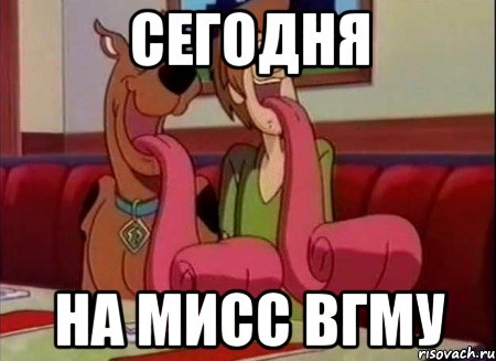 Сегодня На мисс ВГМУ