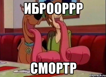 иброоррр смортр