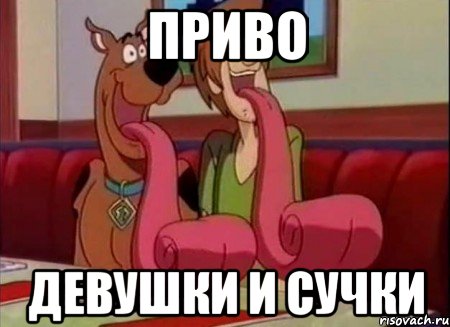 приво девушки и сучки