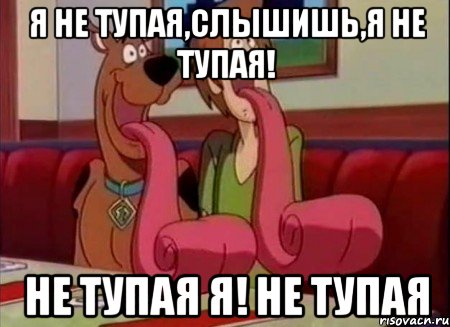 Я не тупая,слышишь,я НЕ ТУПАЯ! НЕ ТУПАЯ Я! НЕ ТУПАЯ, Мем Скуби ду