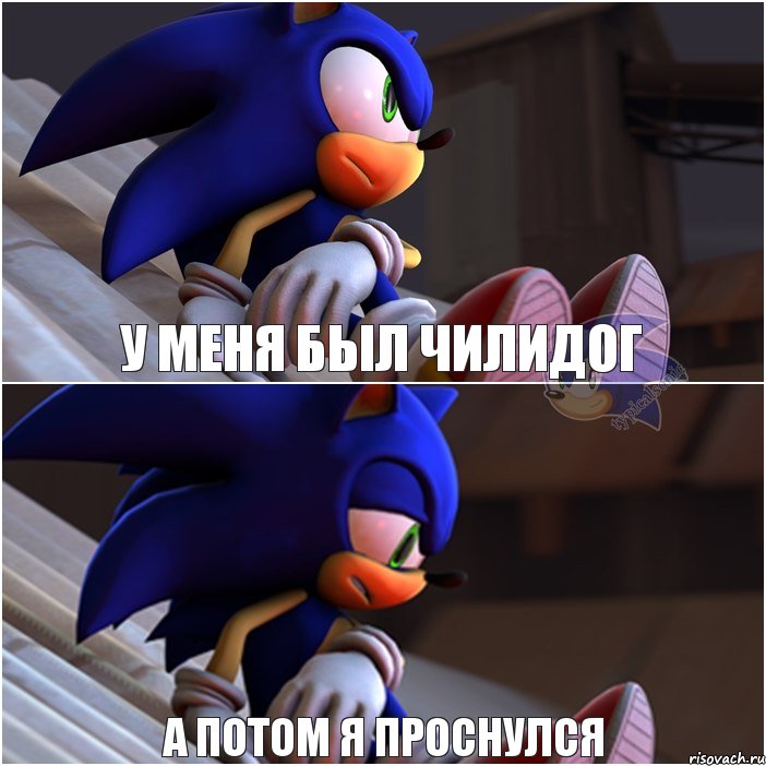 У меня был чилидог А потом я проснулся, Комикс Sonic 1