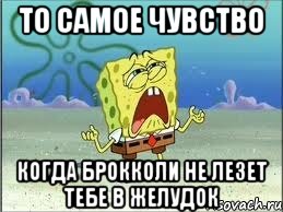 то самое чувство когда брокколи не лезет тебе в желудок, Мем Спанч Боб плачет