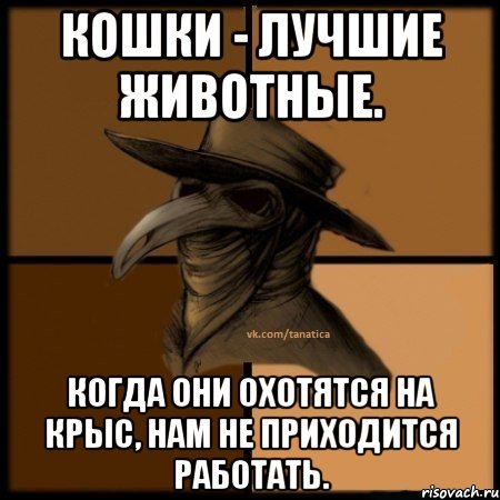 Кошки - лучшие животные. Когда они охотятся на крыс, нам не приходится работать., Мем  Чума