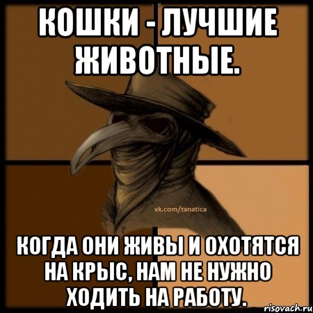 Кошки - лучшие животные. Когда они живы и охотятся на крыс, нам не нужно ходить на работу., Мем  Чума