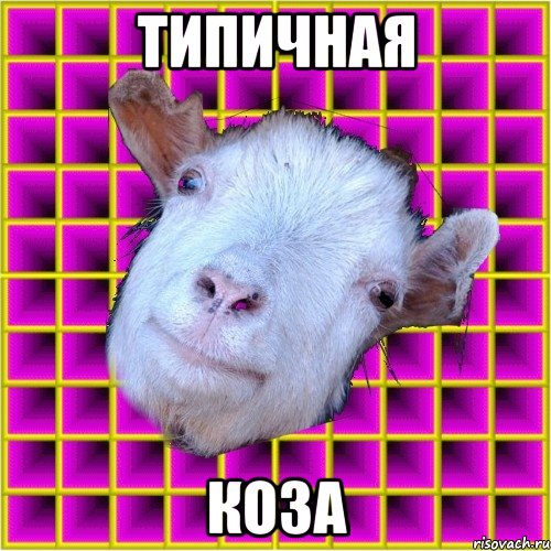 Типичная КОЗА, Мем типичная коза
