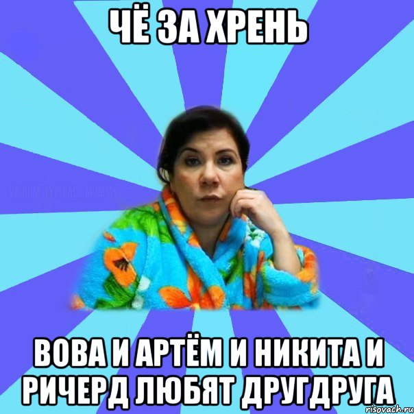 Чё за хрень Вова и артём и никита и ричерд любят другдруга, Мем типичная мама