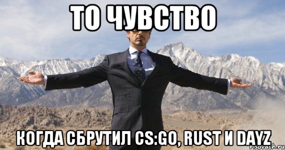 то чувство когда сбрутил CS:GO, RUST и DAYZ, Мем железный человек