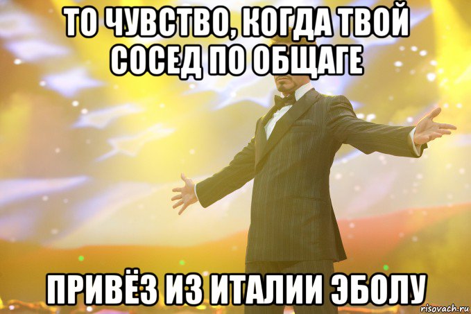 То чувство, когда твой сосед по общаге Привёз из Италии Эболу, Мем Тони Старк (Роберт Дауни младший)