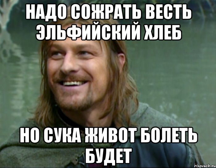 надо сожрать весть эльфийский хлеб но сука живот болеть будет, Мем Тролль Боромир