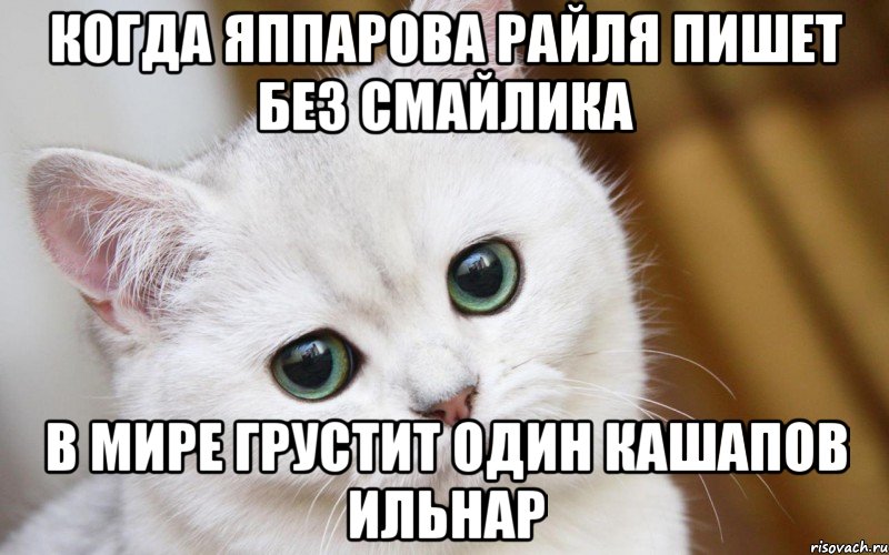 когда Яппарова Райля пишет без смайлика в мире грустит один Кашапов Ильнар, Мем  В мире грустит один котик