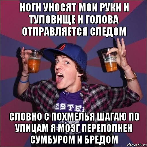 ноги уносят мои руки и туловище и голова отправляется следом словно с похмелья шагаю по улицам я мозг переполнен сумбуром и бредом, Мем Веселый студент