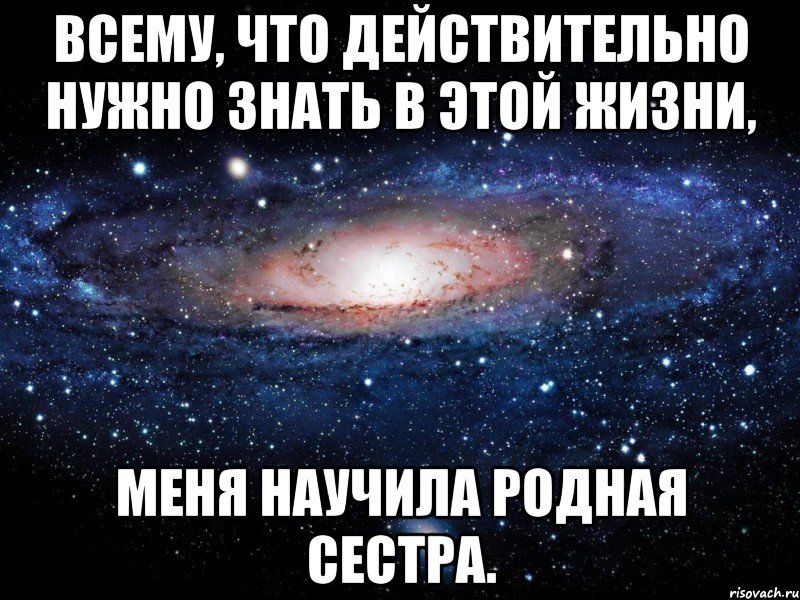 Всему, что действительно нужно знать в этой жизни, меня научила родная сестра., Мем Вселенная