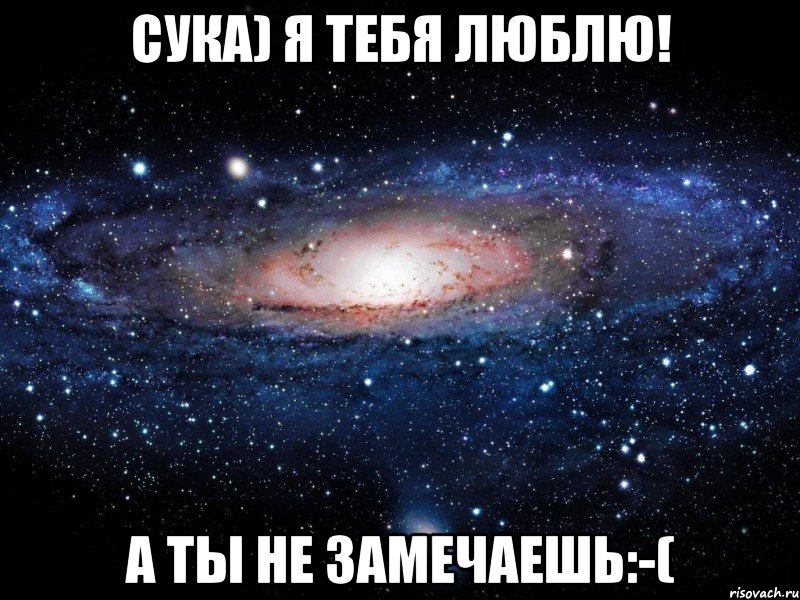 Сука) Я тебя люблю! А ты не замечаешь:-(, Мем Вселенная