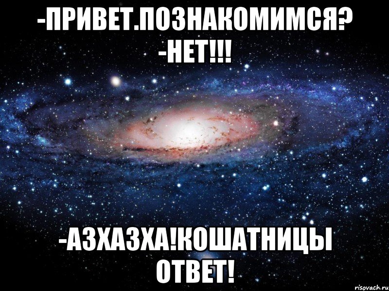 -Привет.Познакомимся? -НЕТ!!! -АЗХАЗХА!Кошатницы ответ!, Мем Вселенная