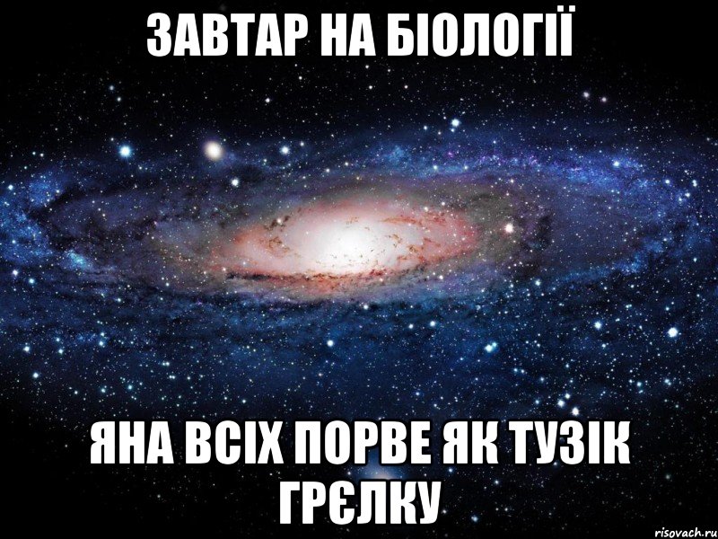 Завтар на біології Яна всіх порве як тузік грєлку, Мем Вселенная