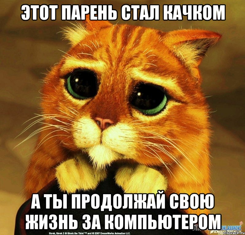 Этот парень стал качком а ты продолжай свою жизнь за компьютером, Мем Котик из Шрека