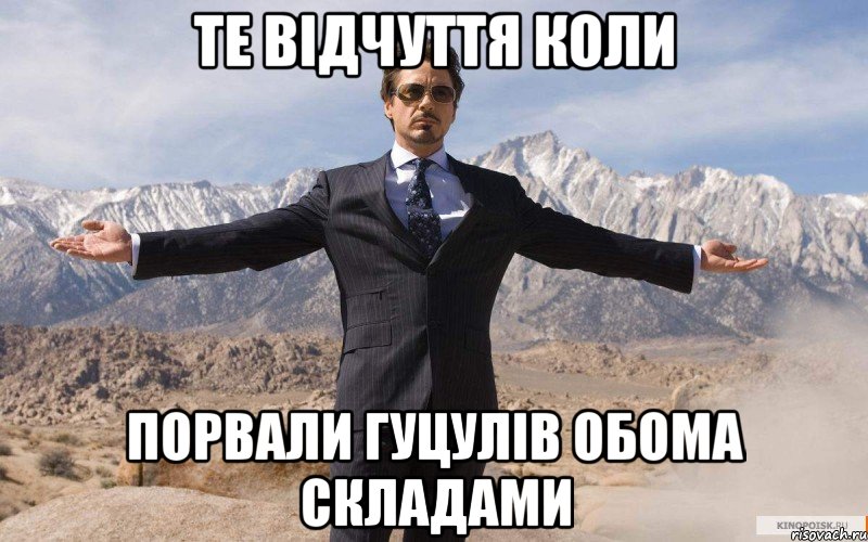 Те відчуття коли Порвали гуцулів обома складами, Мем железный человек