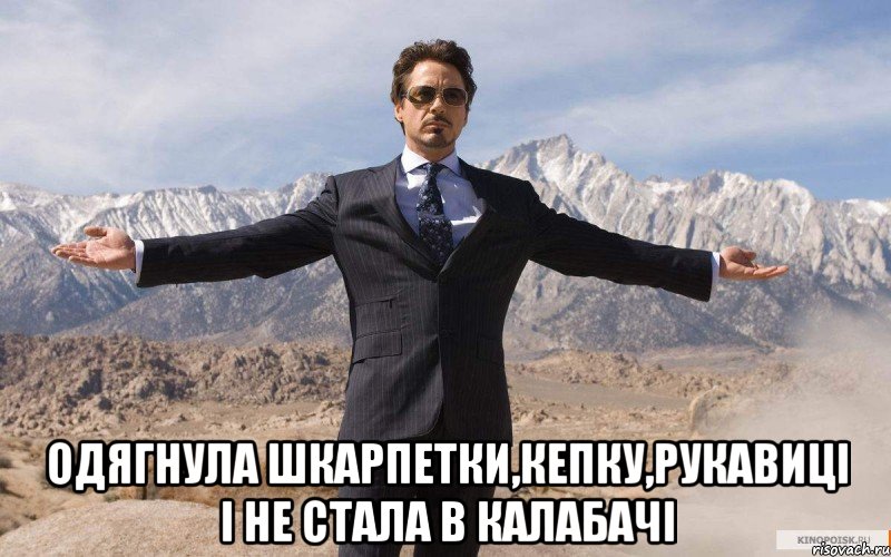  одягнула шкарпетки,кепку,рукавиці і не стала в калабачі, Мем железный человек