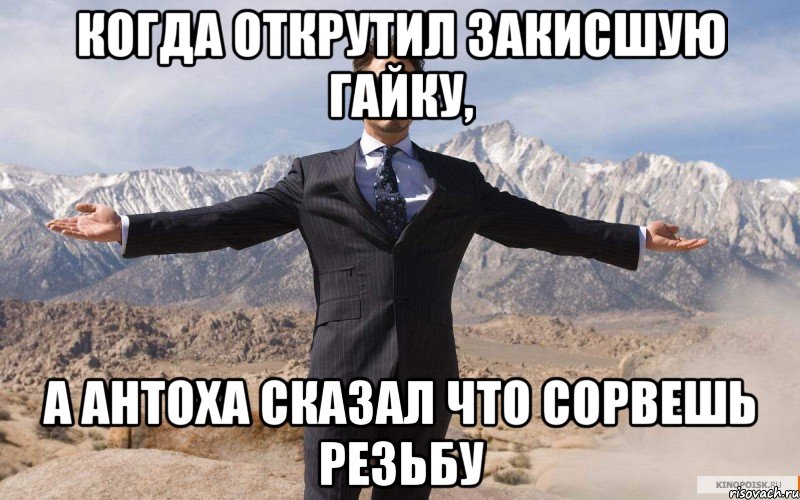 Когда открутил закисшую гайку, а Антоха сказал что сорвешь резьбу, Мем железный человек