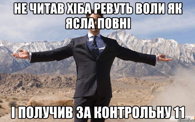 НЕ ЧИТАВ ХІБА РЕВУТЬ ВОЛИ ЯК ЯСЛА ПОВНІ І ПОЛУЧИВ ЗА КОНТРОЛЬНУ 11, Мем железный человек